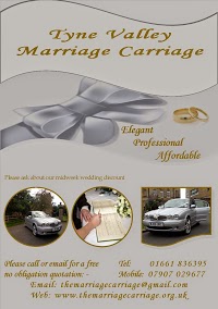 Tyne Valley Marriage Carriage 1087583 Image 3